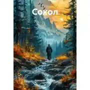 Постер книги Сокол