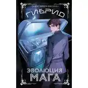 Постер книги Эволюция мага