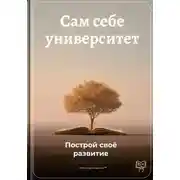 Постер книги Сам себе университет: Построй своё развитие