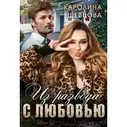 Постер книги Из развода с любовью