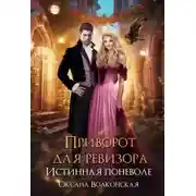 Постер книги Приворот для ревизора. Истинная поневоле