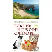 Постер книги Пикник и прочие кошмары