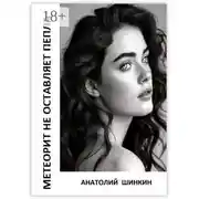 Постер книги Метеорит не оставляет пепла. Космические приключения