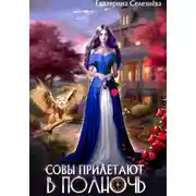 Постер книги Совы прилетают в полночь