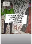Николай Васин - Сказки. Малыш в волшебной стране Галл. Лесной царь. Сказки