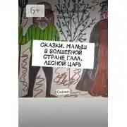Постер книги Сказки. Малыш в волшебной стране Галл. Лесной царь. Сказки