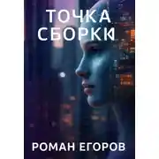 Постер книги Точка сборки