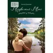Постер книги Медвежий мыс