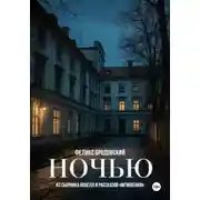 Постер книги Ночью