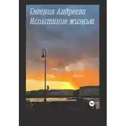 Постер книги Испытание жизнью