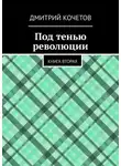 Дмитрий Кочетов - Под тенью революции. Книга вторая