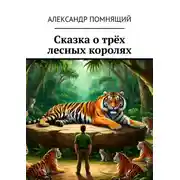 Постер книги Сказка о трёх лесных королях
