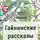 Ирина Габба - Гайнинские рассказы