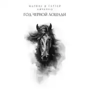 Постер книги Год черной лошади