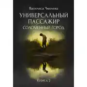Постер книги Универсальный пассажир. Книга 2. Соломенный город
