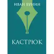 Постер книги Кастрюк