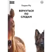 Постер книги Вернуться по следам