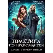 Постер книги Любовь с первого ритуала