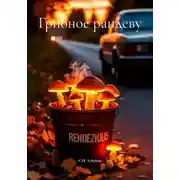 Постер книги Грибное рандеву