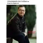 Постер книги Как защитить бухгалтера от субсидиарной ответственности (советы юриста)