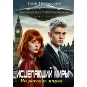 Постер книги Исцеляющий миры. На расколе миров. Часть 1