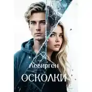 Постер книги Осколки