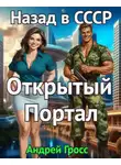 Андрей Гросс - Открытый портал. Назад в СССР