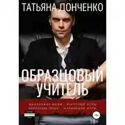 Постер книги Образцовый учитель