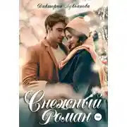 Постер книги Снежный роман