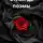 Андрей Колесников - Стихи да поэмы