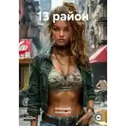 Постер книги 13 район