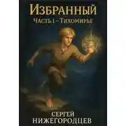 Постер книги Избранный