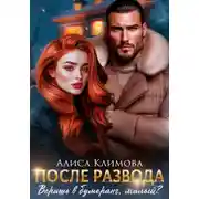 Постер книги После развода. Веришь в бумеранг, милый?