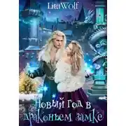 Постер книги Новый год в драконьем замке