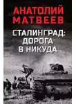 Анатолий Матвеев - Сталинград: дорога в никуда