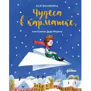 Постер книги Чудеса в кармашке, или Поиски Деда Мороза