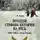 Сергей Бирюк - Походы Стефана Батория на Русь. 1580-1582 гг. Осада Пскова