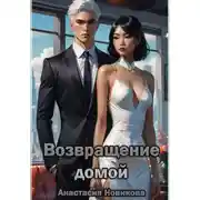 Постер книги Возвращение домой