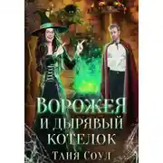 Постер книги Ворожея и дырявый котелок