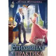 Постер книги Стихийная практика
