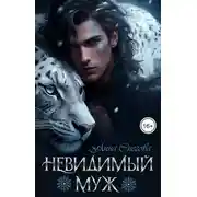 Постер книги Невидимый муж