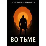 Постер книги Во тьме