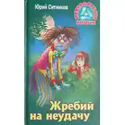 Постер книги Жребий на неудачу