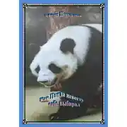 Постер книги Как медведь Панда себе невесту выбирал