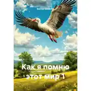 Постер книги Как я помню этот мир 1