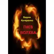 Постер книги Гнев волхва