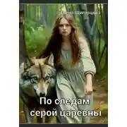 Постер книги По следам серой царевны
