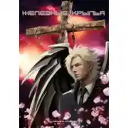 Постер книги Железные крылья