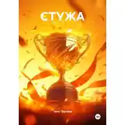 Постер книги Стужа