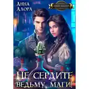 Постер книги Не сердите ведьму, маги!